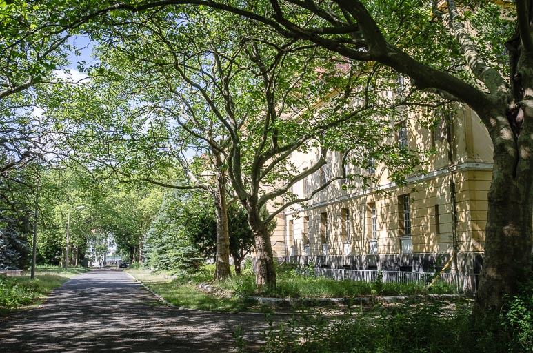 _D708129.jpg _D708129.jpg