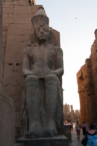 _DSC0863.jpg _DSC0863.jpg