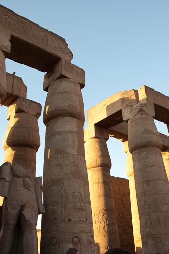 _DSC0890.jpg _DSC0890.jpg