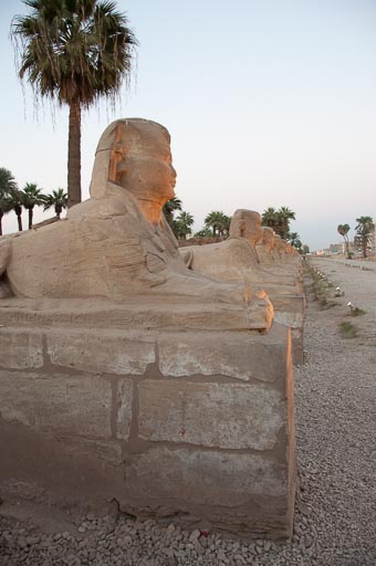 _DSC0994.jpg _DSC0994.jpg