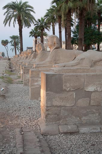 _DSC0995.jpg _DSC0995.jpg