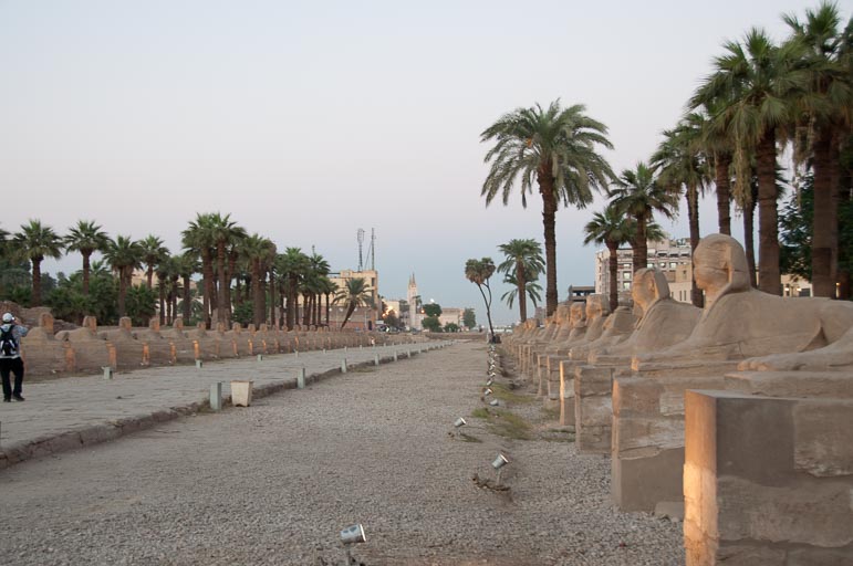 _DSC0996.jpg _DSC0996.jpg