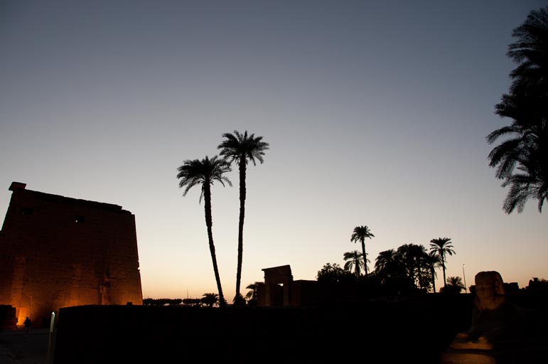 _DSC1005.jpg _DSC1005.jpg