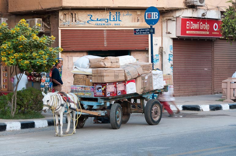 _DSC1304.jpg _DSC1304.jpg