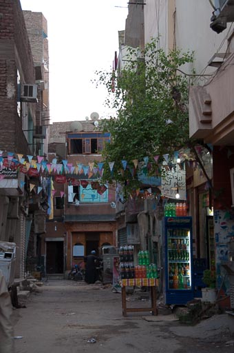 _DSC1308.jpg _DSC1308.jpg