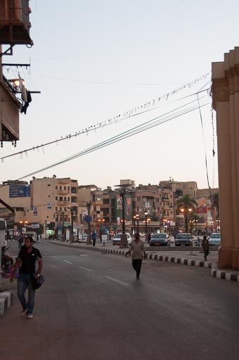 _DSC1333.jpg _DSC1333.jpg