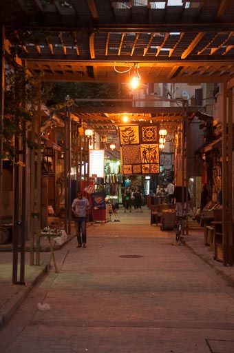 _DSC1339.jpg _DSC1339.jpg