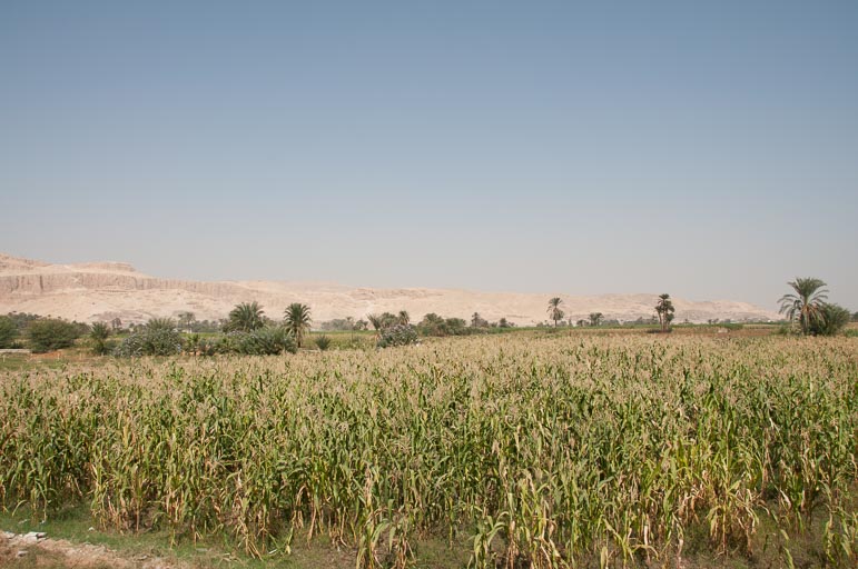 _DSC8863.jpg _DSC8863.jpg