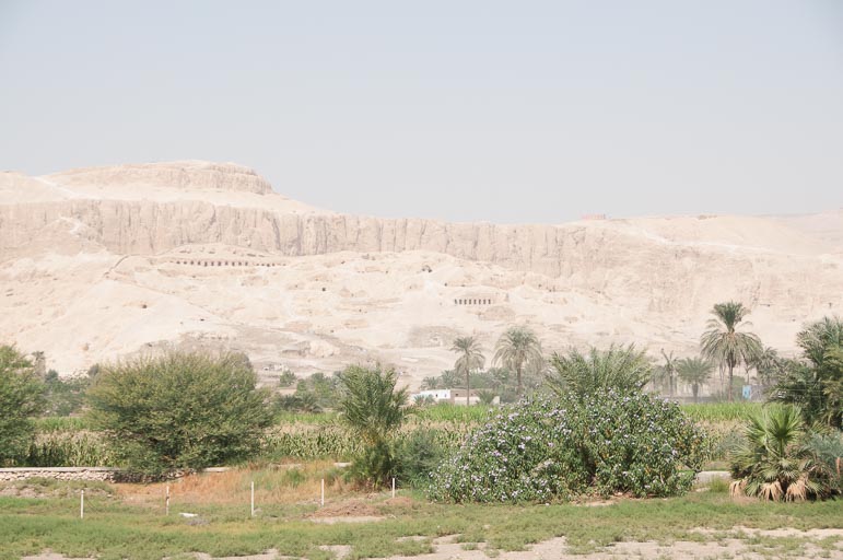 _DSC8873.jpg _DSC8873.jpg