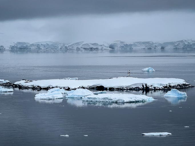 IMG_9271.jpg IMG_9271.jpg