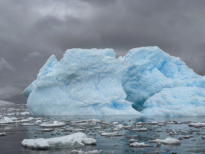 IMG_9349.jpg IMG_9349.jpg