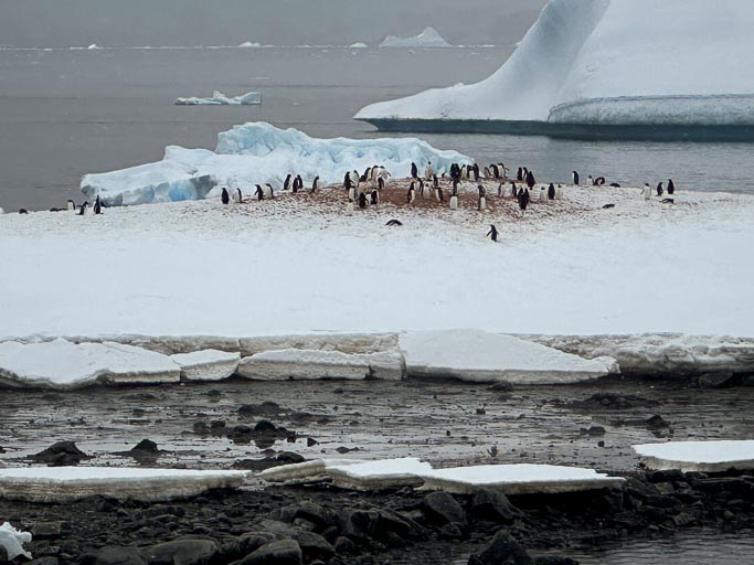 IMG_9468.jpg IMG_9468.jpg