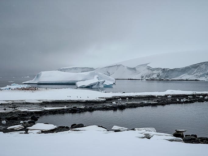 IMG_9469.jpg IMG_9469.jpg