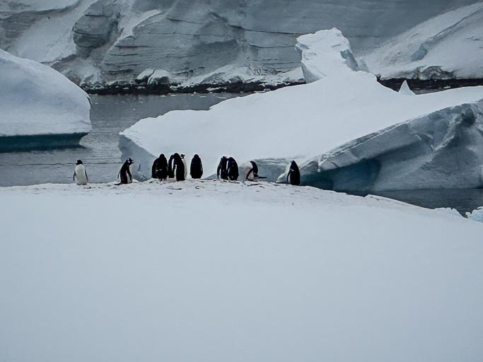 IMG_9475.jpg IMG_9475.jpg