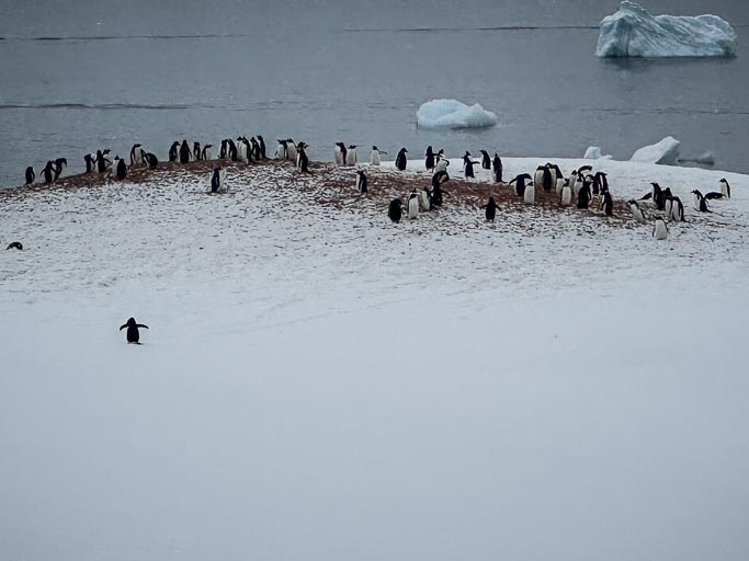 IMG_9485.jpg IMG_9485.jpg