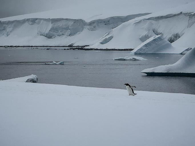 IMG_9495.jpg IMG_9495.jpg