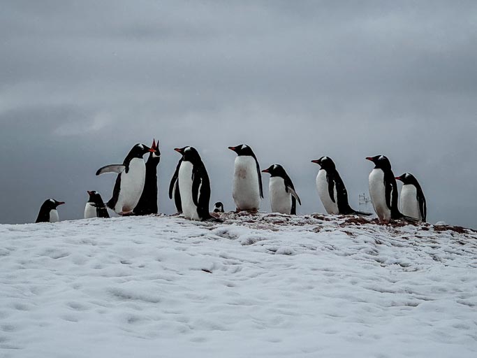 IMG_9513.jpg IMG_9513.jpg