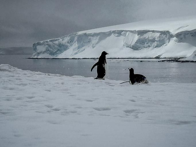 IMG_9519.jpg IMG_9519.jpg