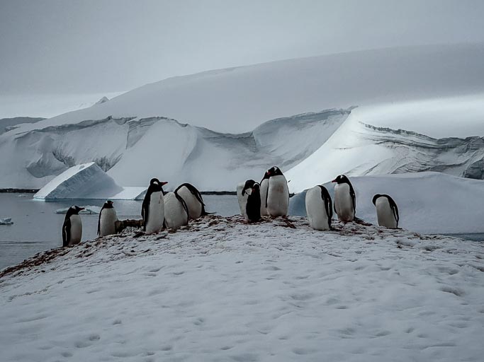 IMG_9523.jpg IMG_9523.jpg