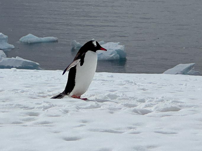 IMG_9528.jpg IMG_9528.jpg