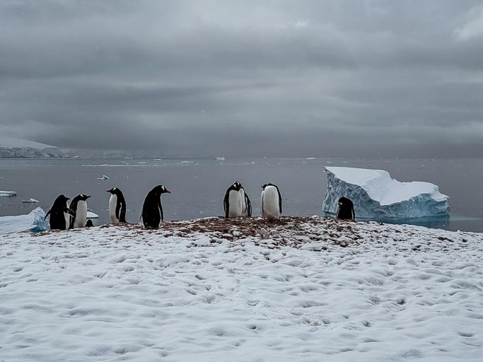 IMG_9531.jpg IMG_9531.jpg