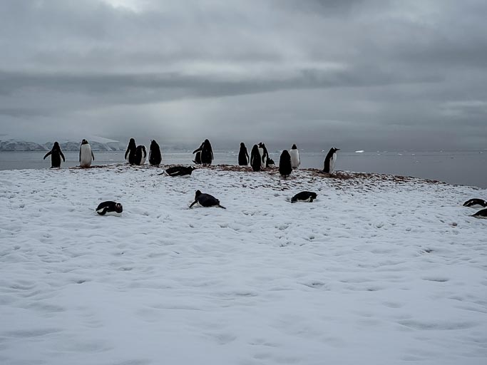 IMG_9543.jpg IMG_9543.jpg