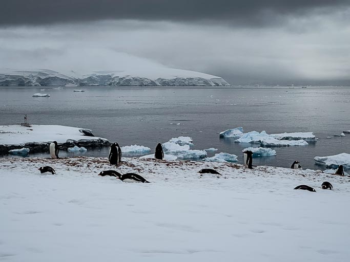 IMG_9559.jpg IMG_9559.jpg