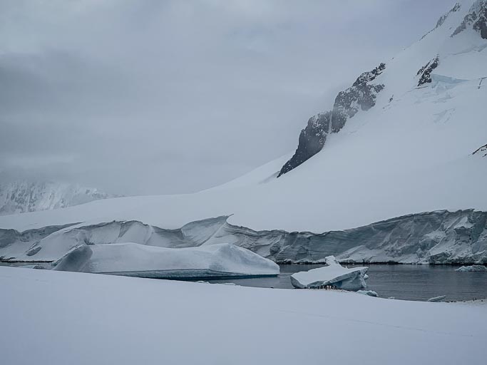 IMG_9585.jpg IMG_9585.jpg