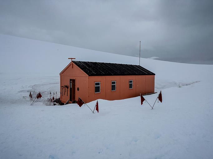 IMG_9595.jpg IMG_9595.jpg