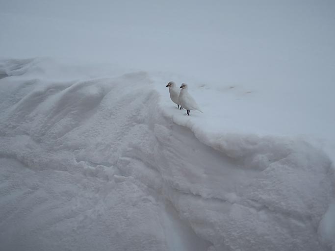 IMG_9598.jpg IMG_9598.jpg