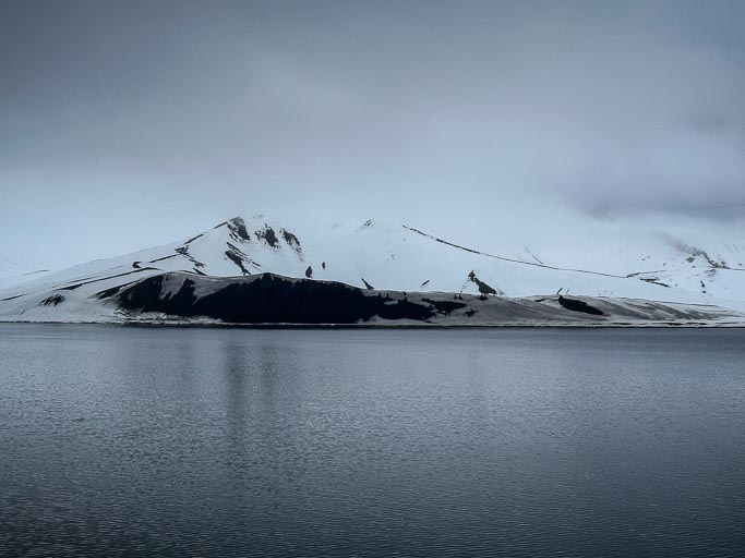 IMG_8660.jpg IMG_8660.jpg