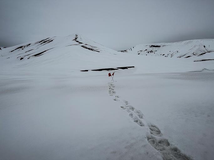 IMG_8749.jpg IMG_8749.jpg