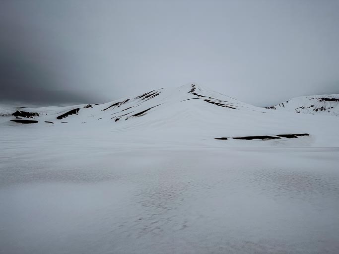 IMG_8751.jpg IMG_8751.jpg