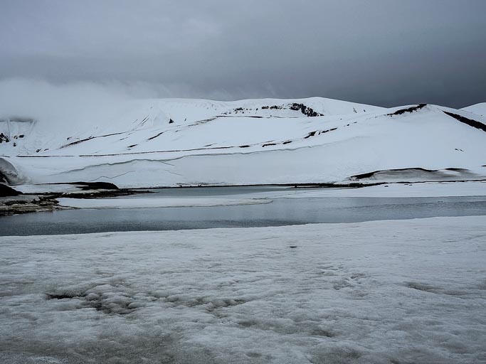 IMG_8798.jpg IMG_8798.jpg