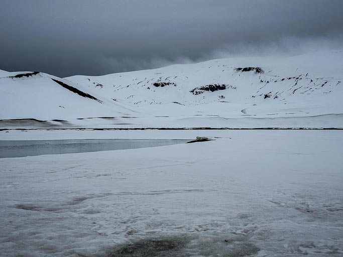 IMG_8799.jpg IMG_8799.jpg