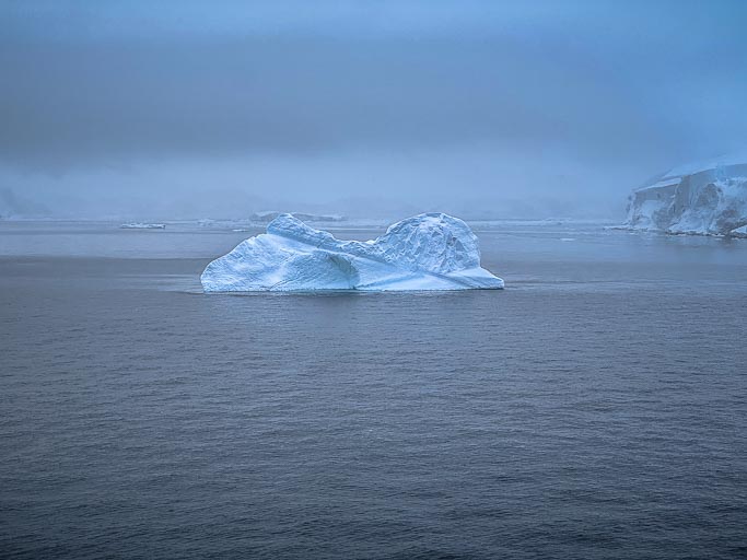 IMG_9013.jpg IMG_9013.jpg