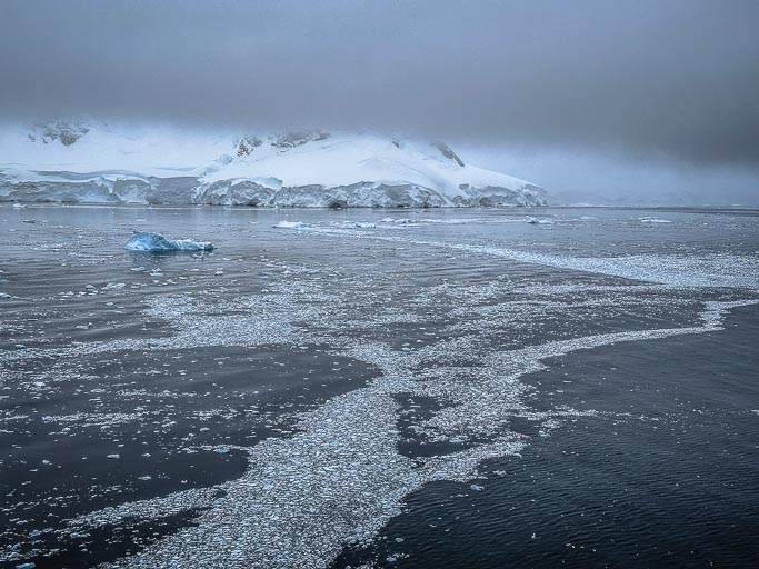 IMG_9024.jpg IMG_9024.jpg