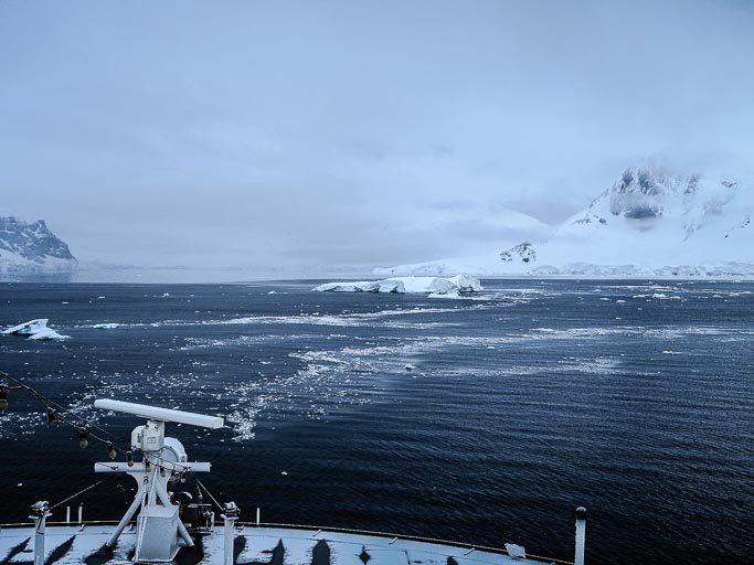 IMG_9026.jpg IMG_9026.jpg