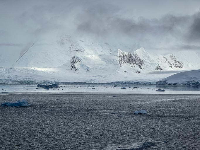 IMG_9206.jpg IMG_9206.jpg