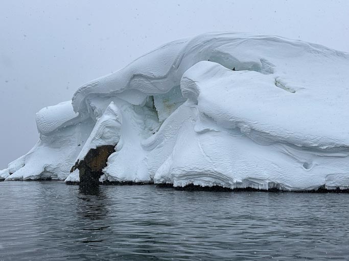 IMG_0315.jpg IMG_0315.jpg