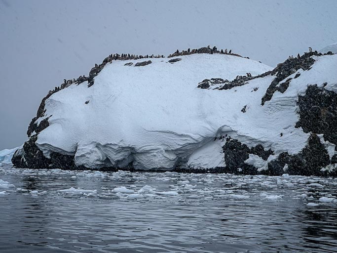 IMG_0319.jpg IMG_0319.jpg