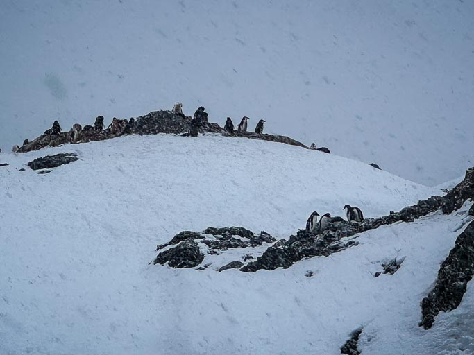 IMG_0320.jpg IMG_0320.jpg