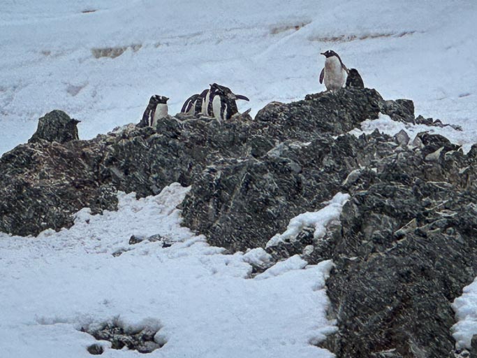 IMG_0322.jpg IMG_0322.jpg