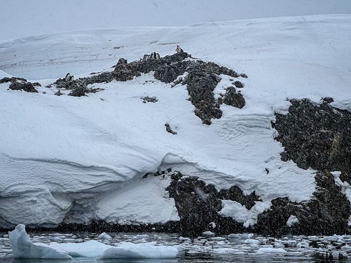 IMG_0323.jpg IMG_0323.jpg