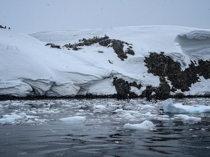 IMG_0324.jpg IMG_0324.jpg