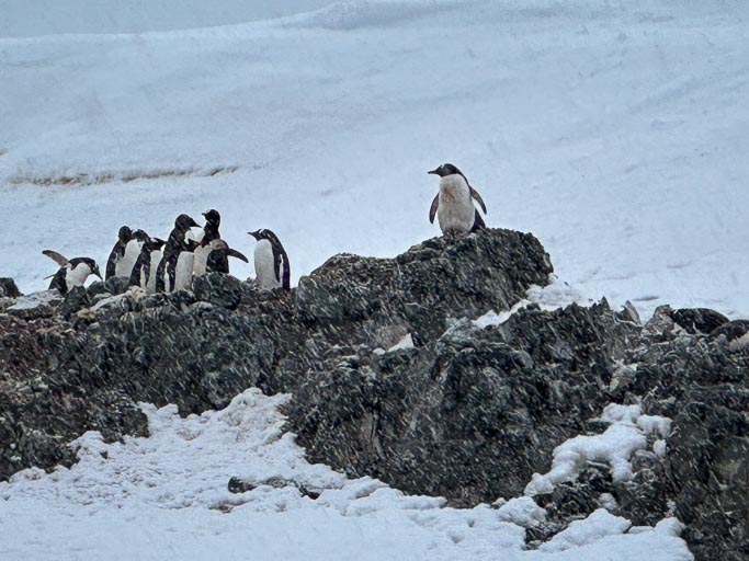 IMG_0325.jpg IMG_0325.jpg