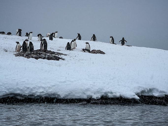 IMG_0330.jpg IMG_0330.jpg