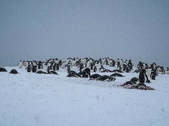 IMG_0340.jpg IMG_0340.jpg