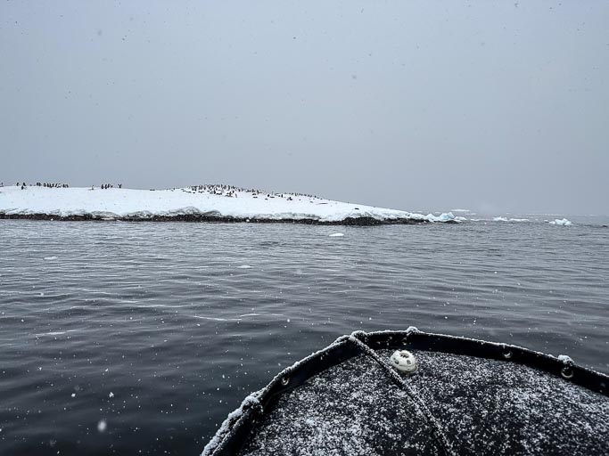 IMG_0344.jpg IMG_0344.jpg