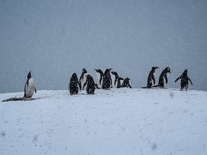 IMG_0350.jpg IMG_0350.jpg